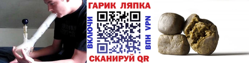 где найти   Элиста  ГАШ ice o lator 