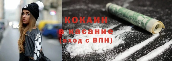 гашик Кодинск