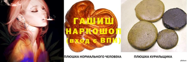 PSILOCYBIN Козловка