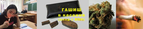 гашик Кодинск