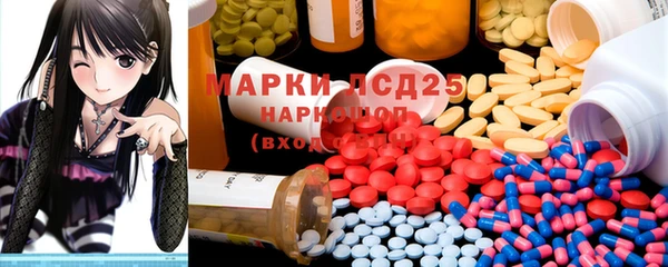 гашик Кодинск
