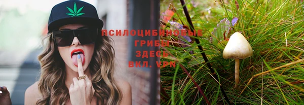 гашик Кодинск